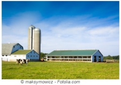 Constructions nouvelles : à bonne distance des bâtiments agricoles